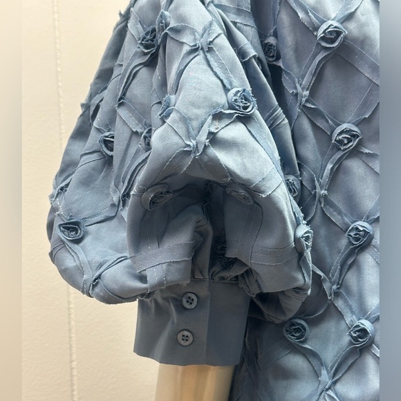 Rose Bud Blue Puff Sleeves Pointed Collar Button Down Blouse - Picture 7 of 7